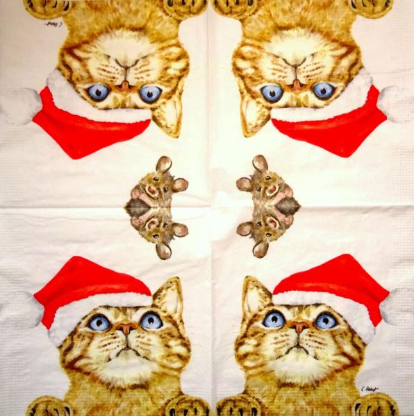KAT-961 Cats - 3-ply - ppd - Carola Pabst